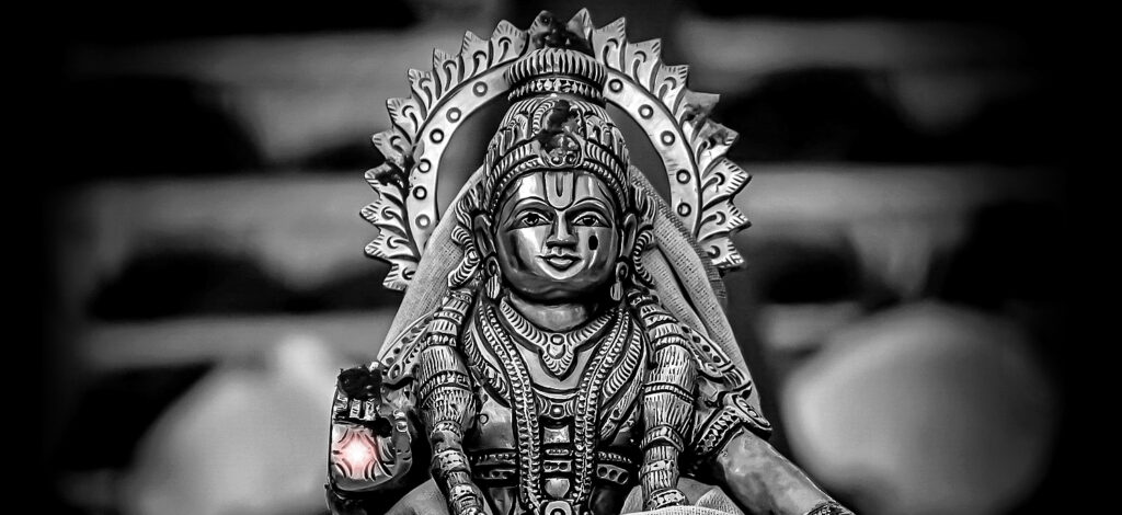 ht3twdmi0yxulcccdsa6mg store banner image